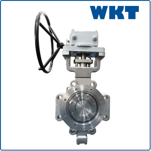 Lug type metal to metal renewable seat butterfly valve with special