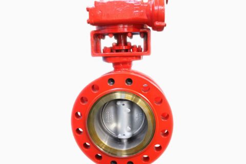 Cryogenic butterfly valve